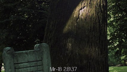 Blackmagic Cinema Camera Soviet Lens Test