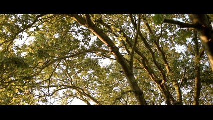 Nikon D5300 Film Look - Cinematic