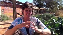 Alice Springs Biodynamic Garden