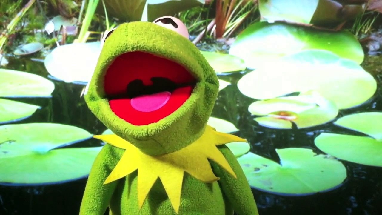 Kermit (the Frog) sings Andrew Thureson "Happy Birthday"!!!