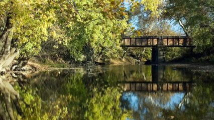 Criptozoología: Casos sobre perturbadoras criaturas 3