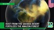 NASA animation shows how dust from the Sahara desert fertilizes plants in the Amazon rainforest
