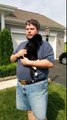 Man Squeezing cat to help her urinate.