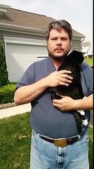 Squeezing cat to help her urinate.