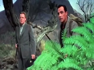 Experience the Enchantment of Brigadoon ✨