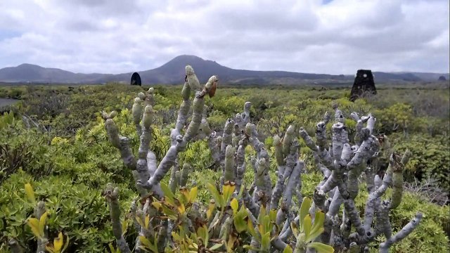 2011.05 Lanzarote Cueva De Los Verdes