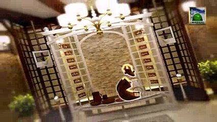 Sugar & Diabetes: Key Facts