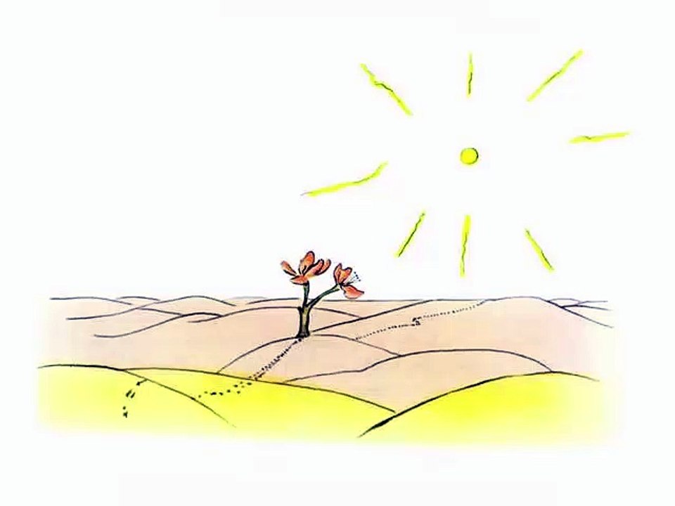 Le Petit Prince - Chapitre XVIII