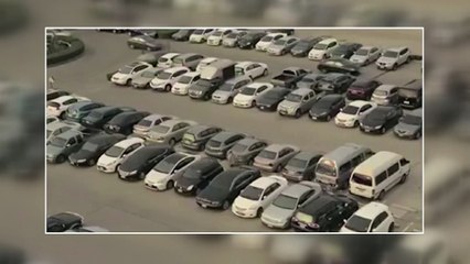 Duygusal köpek büyük buluşmayı böyle ayarladı!