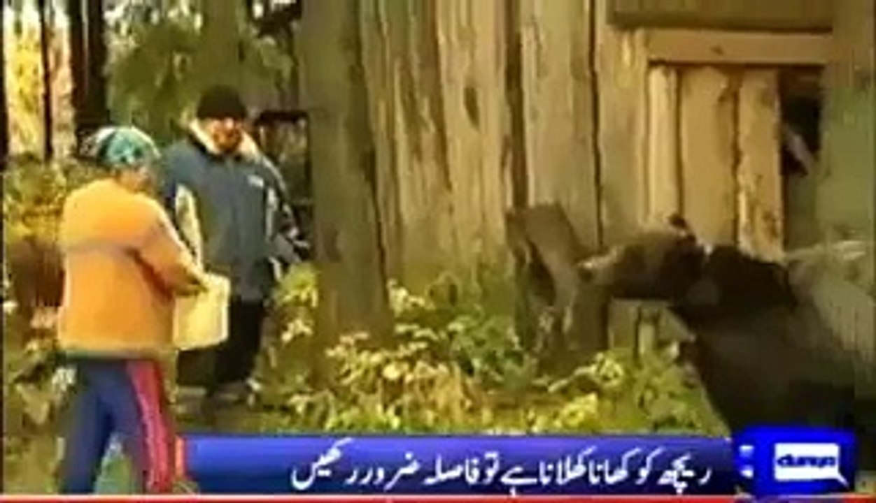 Reach ka Khatoon per Hamla