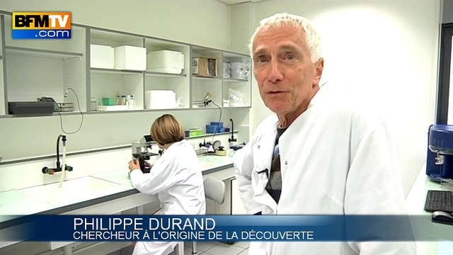 Infertilité: un laboratoire lyonnais créé des spermatozoïdes in vitro