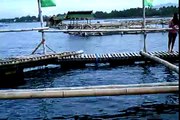 Fish Cage In Balingasag