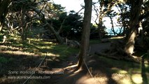 Scenic Workouts - Monterey Coast featuring Carmel, Big Sur & Pacific Grove