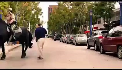 Horse Kicks Man Into Face - Best Funny Videos 25 may 2015