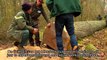 ANB gecertificeerd Vlaams kwaliteitshout op Franse houtbeurs