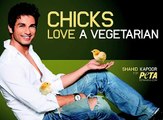 Shahid Kapoor Stars In New Vegetarian Ad for PETA