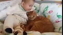 Kid Cuddling With Cat