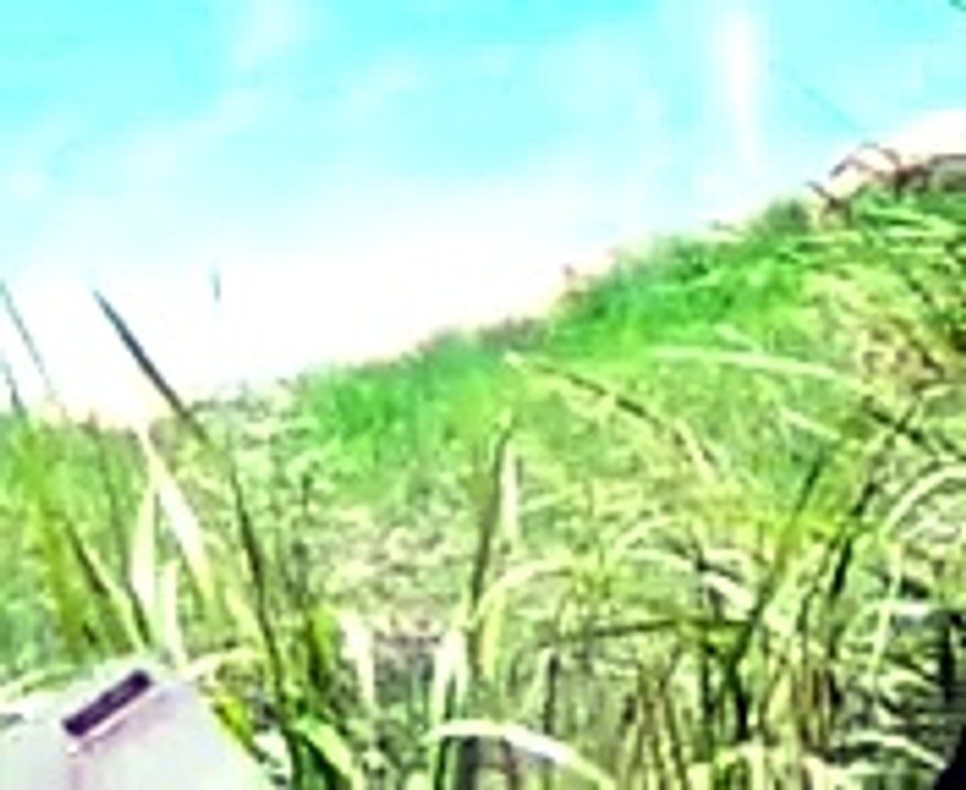 Little Croc Emerging