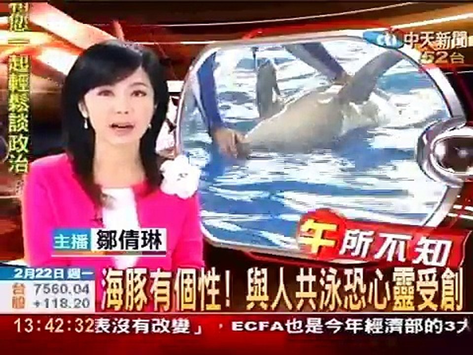 海豚有個性！ 與人共泳恐心靈受創