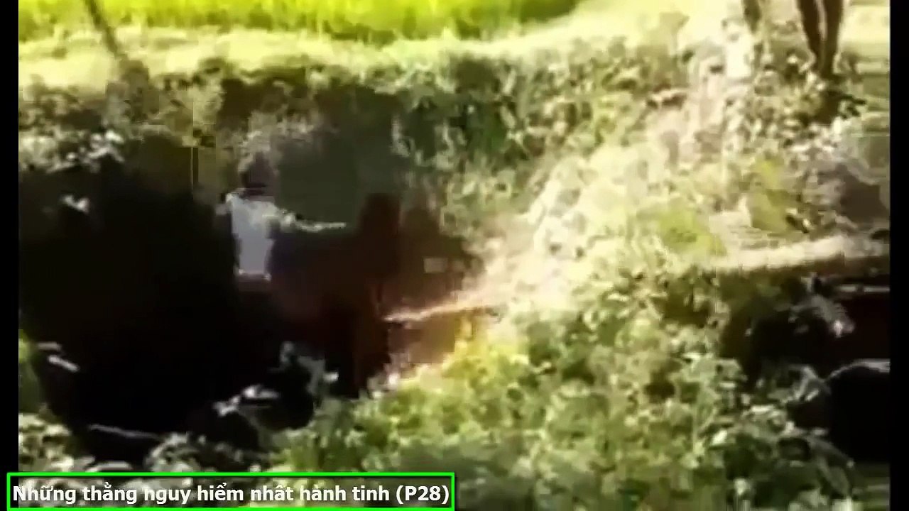 [Tin Việt Tv] Những Thằng Nguy Hiểm Nhất Hành Tinh (P28) ✔