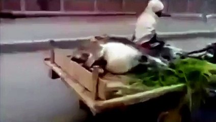 Achhe Din Aane Vale Hain