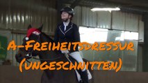 Weihnachtsfeier A-FreiheitsDressur