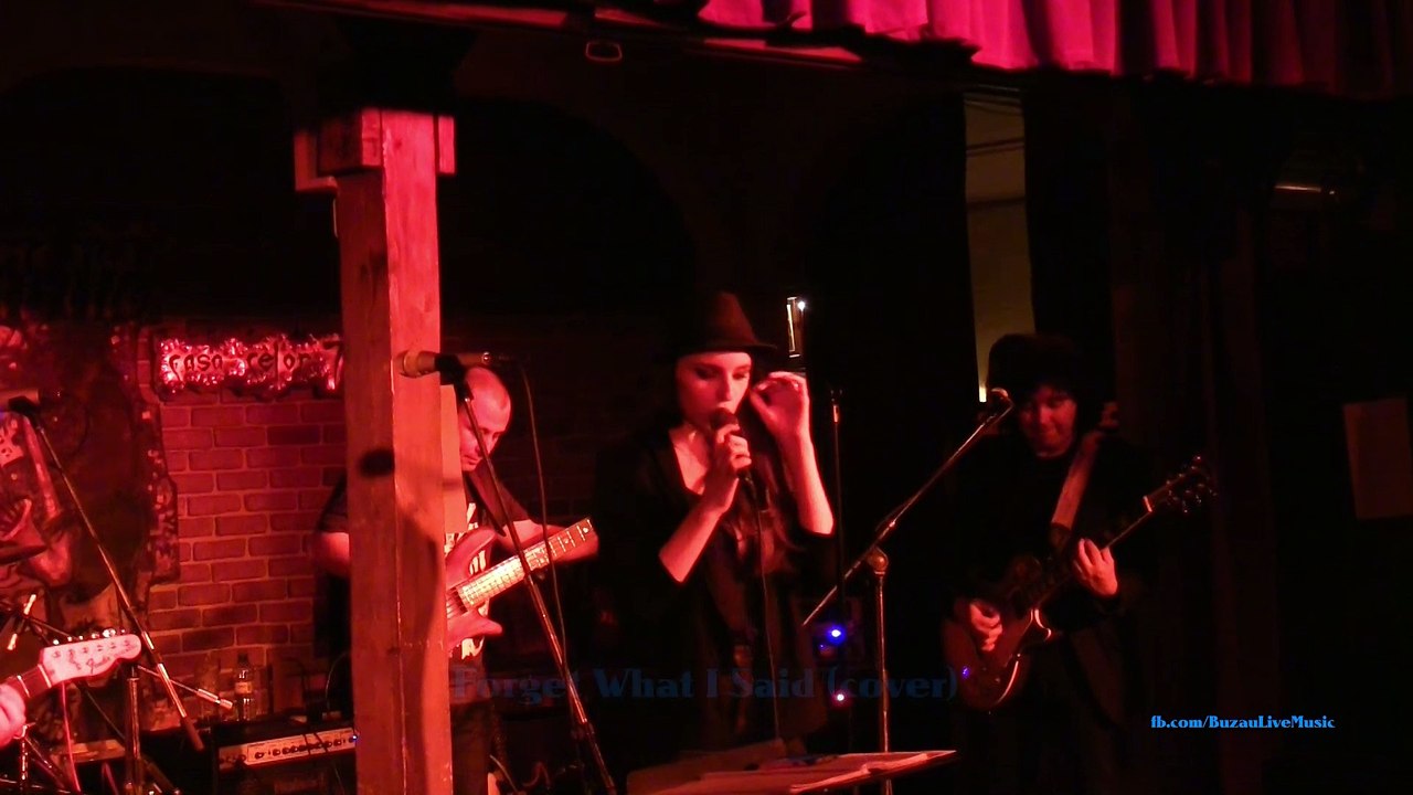 BLUE MOTORS - Forget What I Said @ Cafeneaua Artistilor / Buzau / 14.05.2015