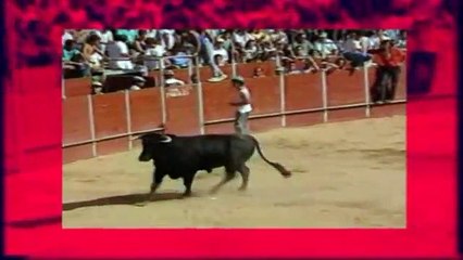 Toro (Zamora). Fuente de vino