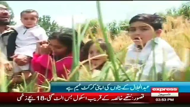 7 Females and 2 Males of Same Family are Contesting Local Body Election Report by Sherin Zada