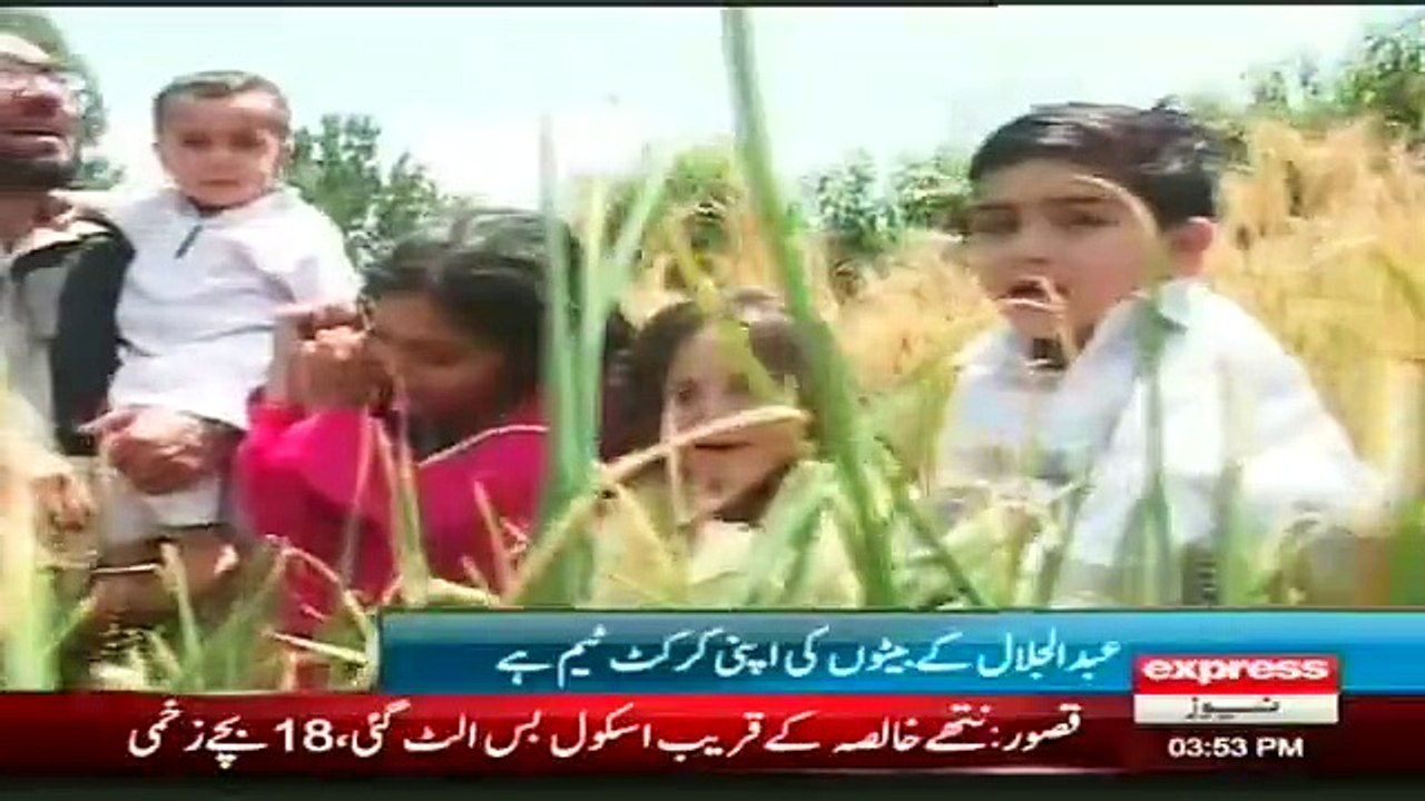 7 Females and 2 Males of Same Family are Contesting Local Body Election Report by Sherin Zada