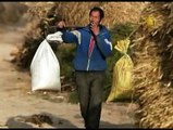 Chinese Farmers Outraged at Land Grab Bullying Scandal