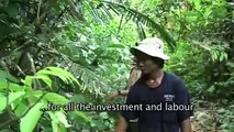 Local people need legal rights to forests