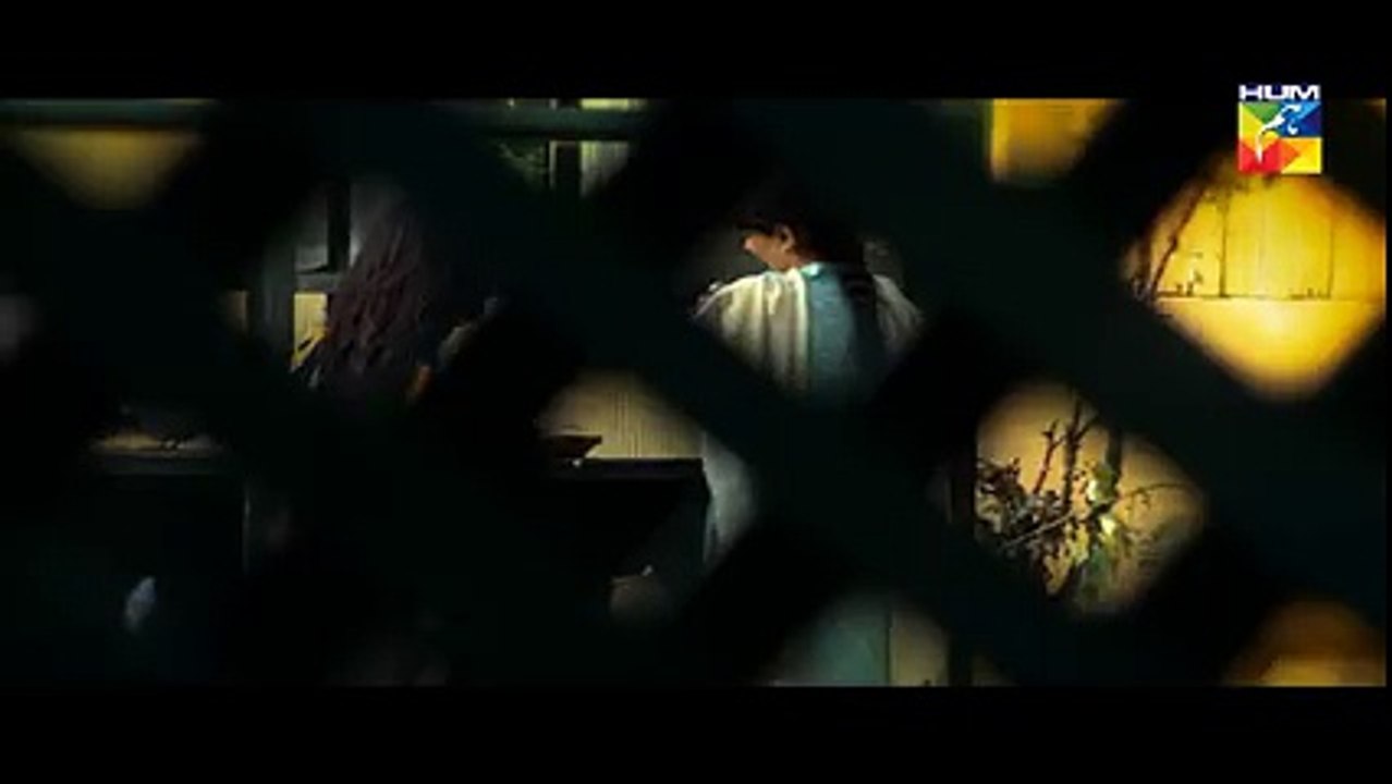 Mol Teaser 1