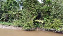 FLORESTA AMAZÕNICA AS MARGES DO RIO AMAZONAS VIAGEM DE MACAPÁ A BELÉM