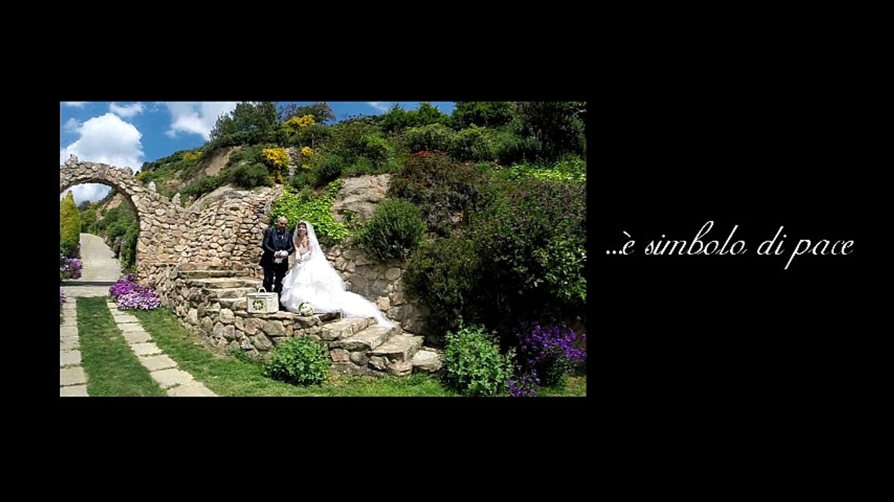 DEMO WEDDING DIGITALPHOTONET ARBUS