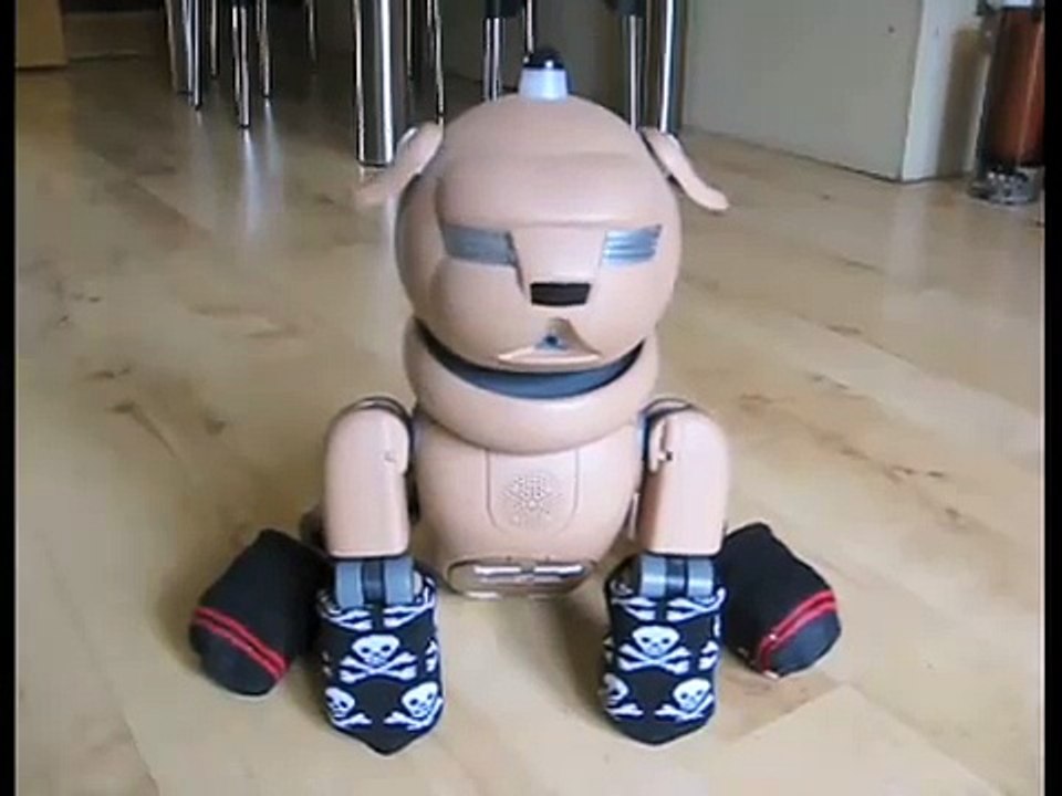 Sony Aibo... Koni the Pug