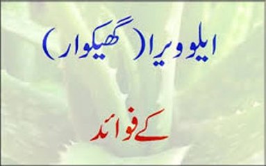 Aloe Vera Ke Fawaid