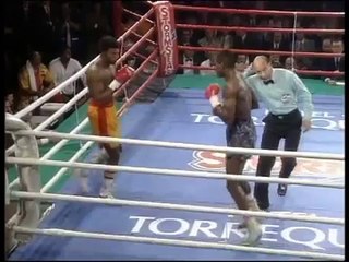 Herol Graham v Julian Jackson Devastating KO