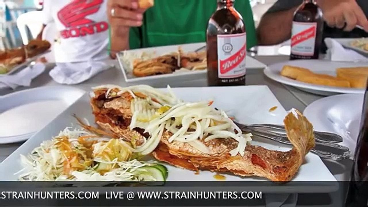 Strain Hunters Live @ JAMAICA