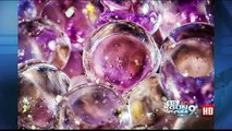 Purple Alien Eggs Found In Arizona Desert  [Video]