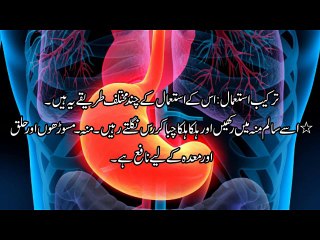 Fennel Seeds Dr.na Mazhar (Dr of alternative medicine)