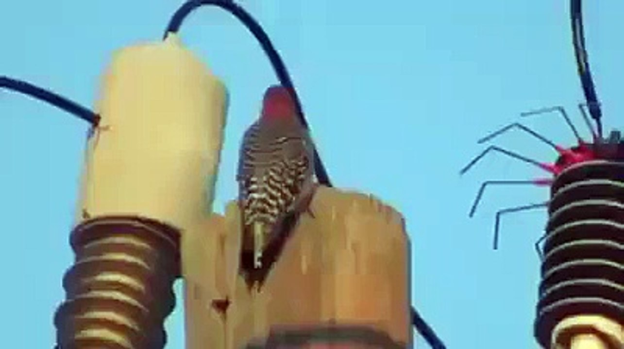 Geleceğe Işınlanan Kuş