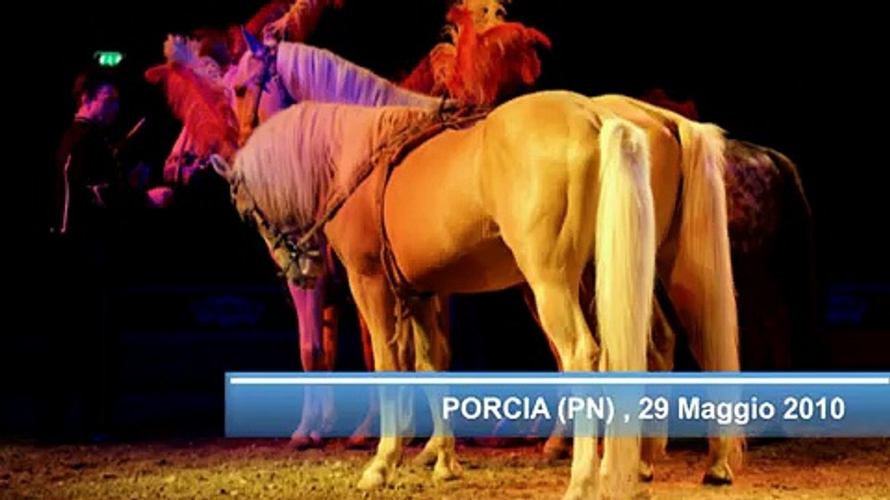 CIRCO DI PRAGA 2010