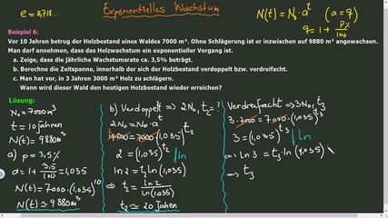 Exponentielles Wachstum - Teil 1. Beispiel 6