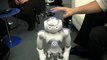 Nao Robot Demonstration - Movements, Dance, Object Tracking