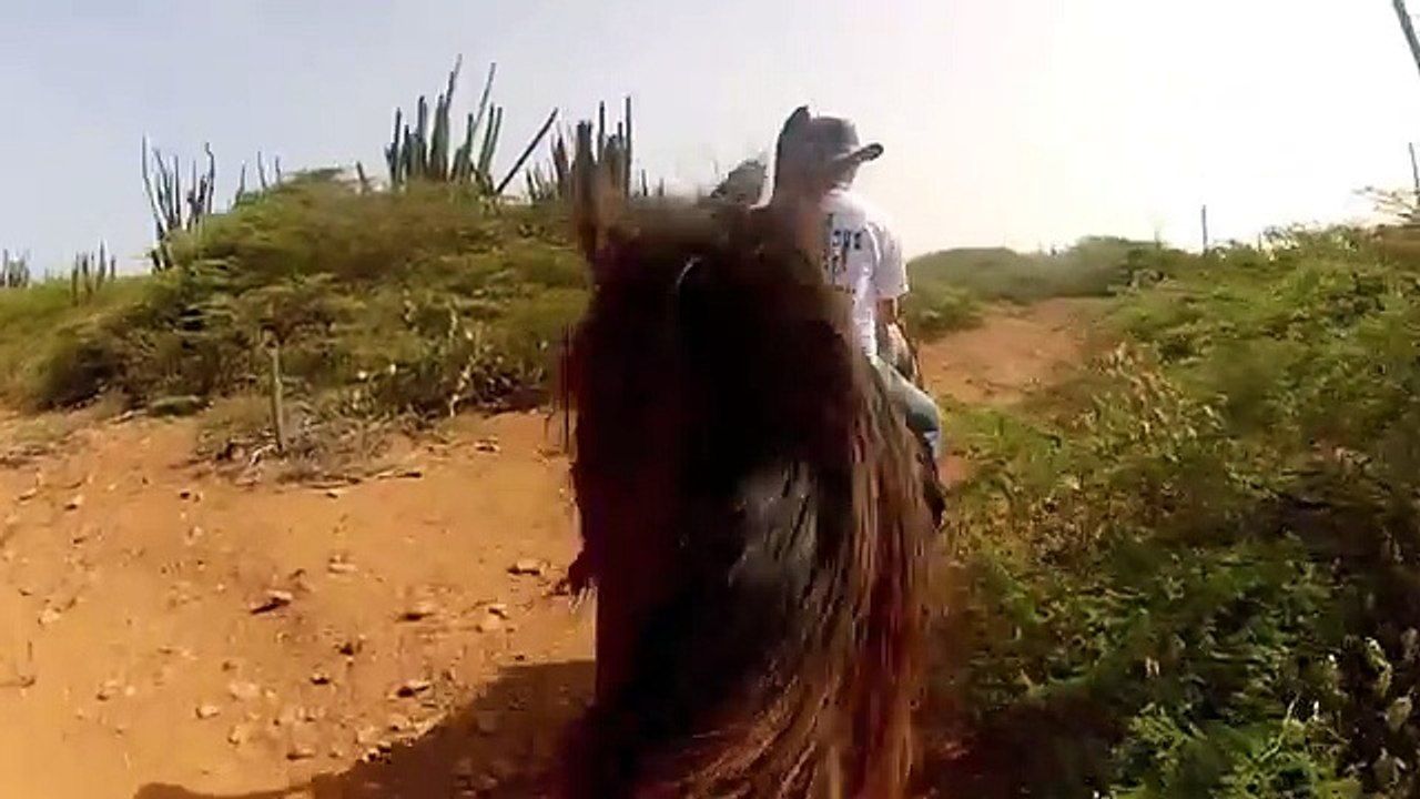 Horseback riding Aruba!