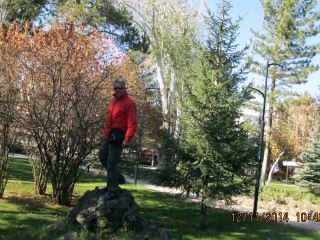 GRUP ANILAR-ÇILLİ BOM