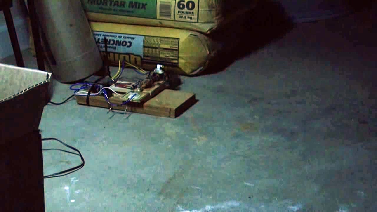 Killer Electronic Mouse Trap - the shorter version