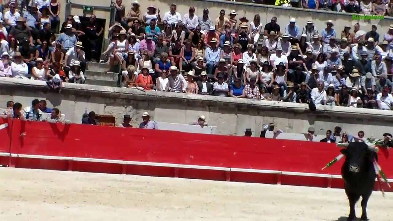 Nimes matinal 25 may 2015