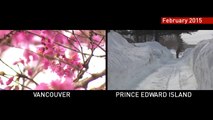 Canada's Winter Weather Extremes - Vancouver, BC vs Prince Edward Island
